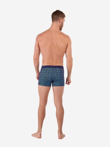 Boxers ' Jay Boxer Briefs HO1 ' HOM en bleu