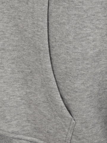 Urban Classics Sweatshirt in Grey