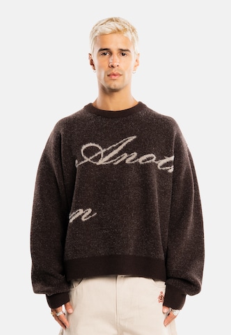 Pullover di Another Cotton Lab in marrone: frontale