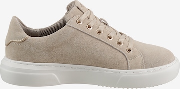 JOOP! Sneakers in Beige