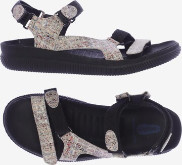 Wolky Sandalen 42 in Mischfarben: predná strana