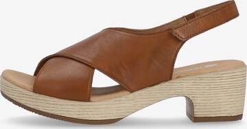 REMONTE Sandals in Brown