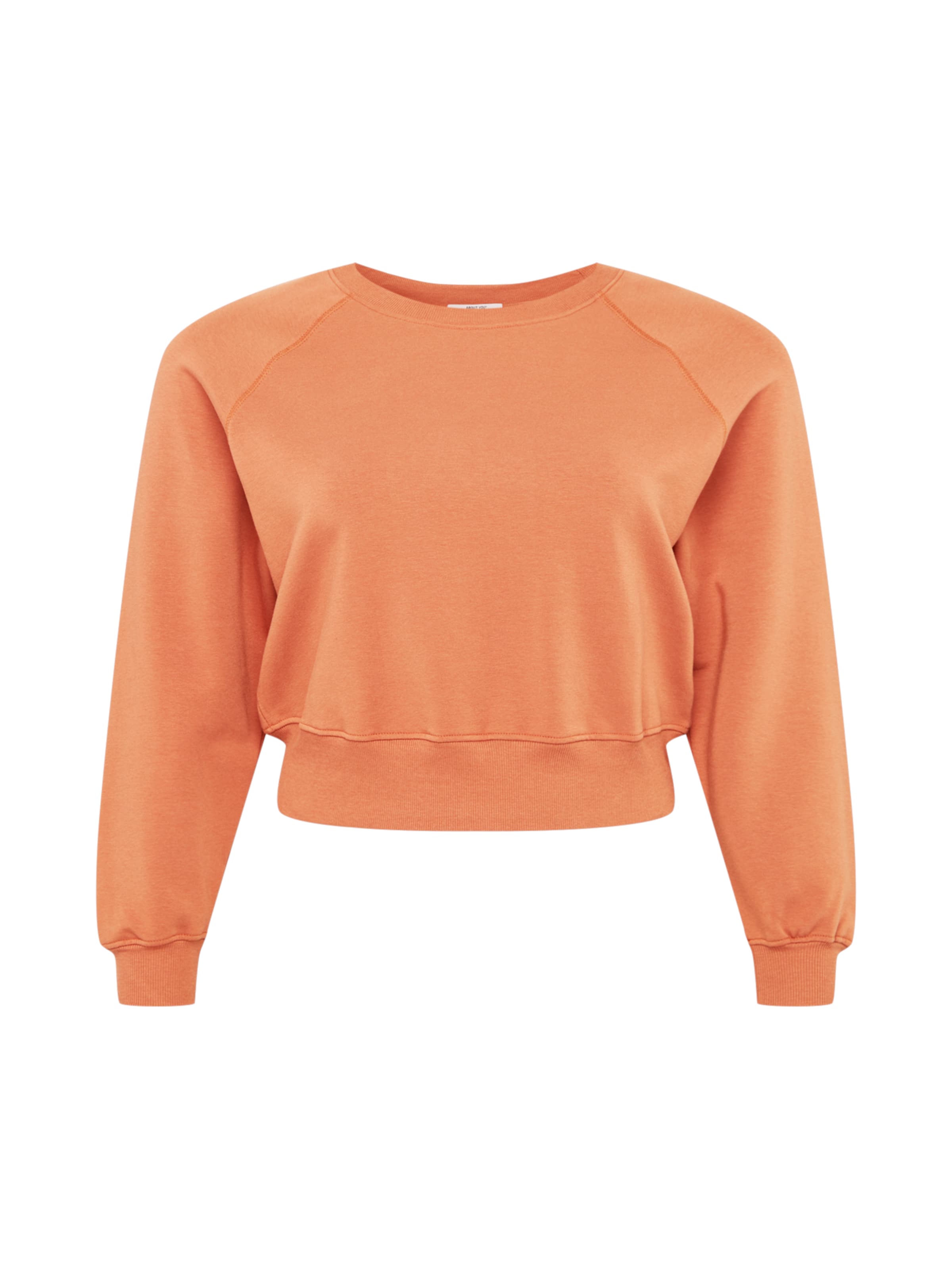 ABOUT YOU Curvy Sweatshirt 'Marin' in Brown: front