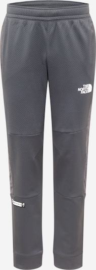 THE NORTH FACE Sporthose en grau / schwarz / weiß, Vue avec produit