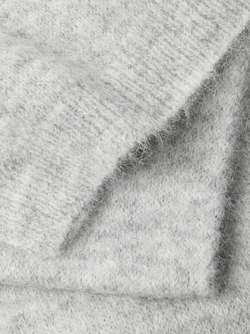 Écharpe 'DOVLON' TATUUM en gris