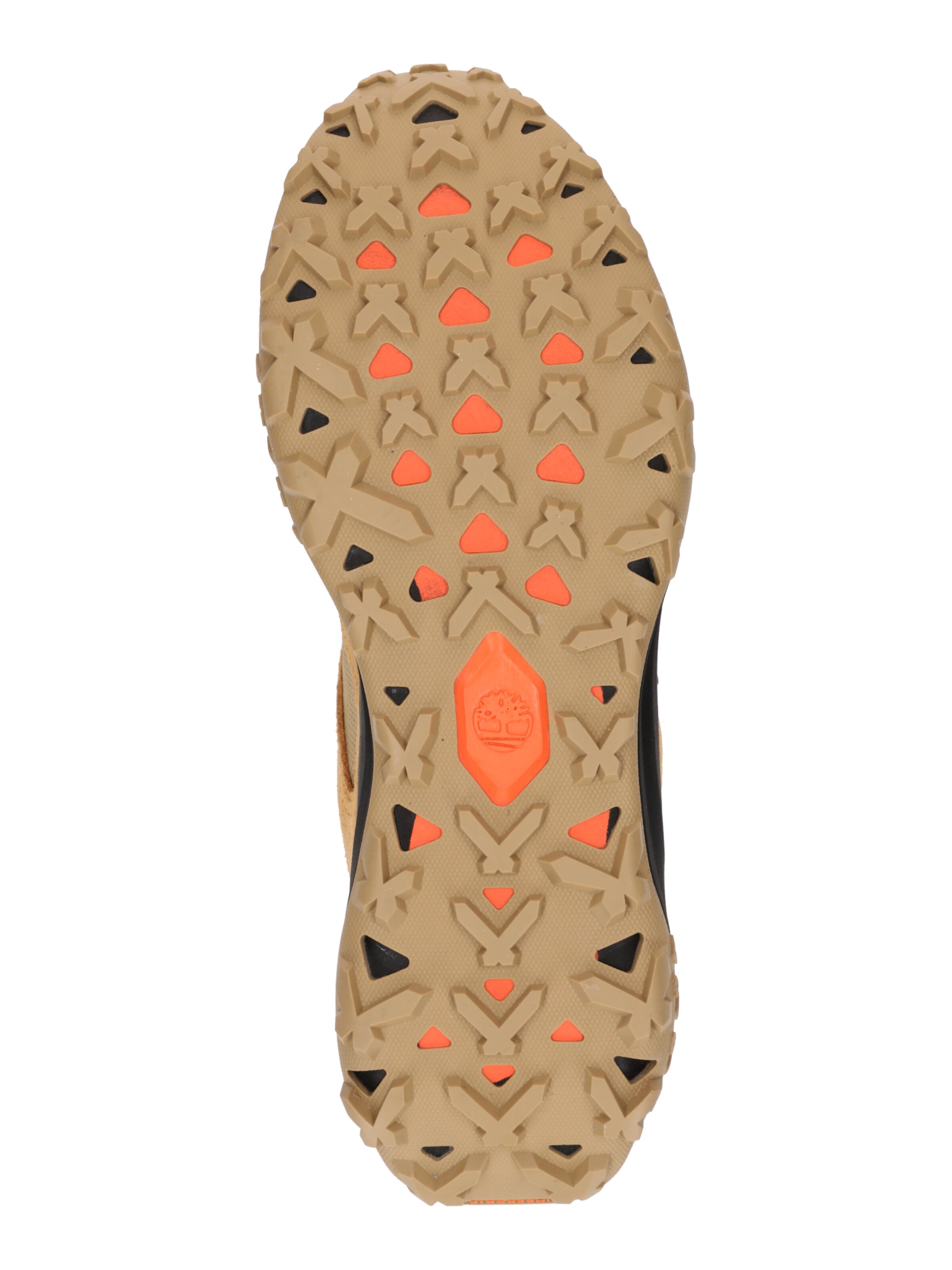 TIMBERLAND Низкие кроссовки в Коричневый