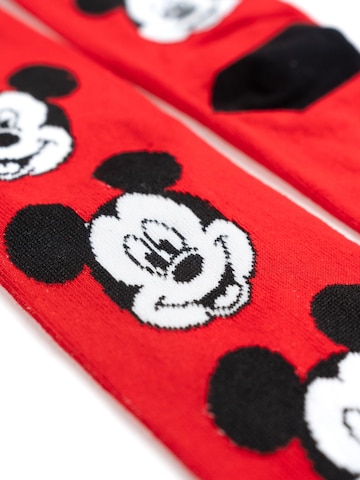 MICKEY MOUSE Socken‌‌‌‌ in Mischfarben