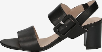 CAPRICE Sandale in Schwarz