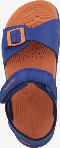 GEOX Sandale in Blau