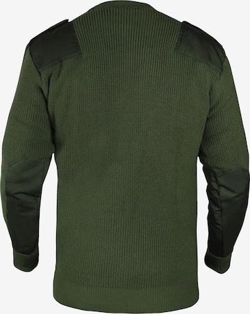 normani Sweater 'Dörentrup' in Green