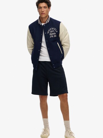 Superdry & Co Обычный Штаны 'Essential' в Синий