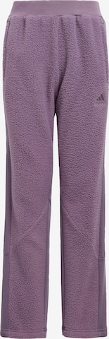 ADIDAS SPORTSWEAR Regular Workout Pants 'Tiro ' in Purple: front