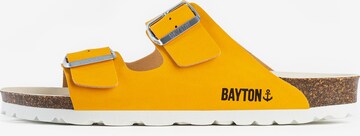 Bayton Mules 'Atlas' in Yellow: front