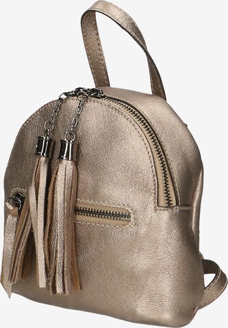 Gave Lux Backpack in Bronze: front