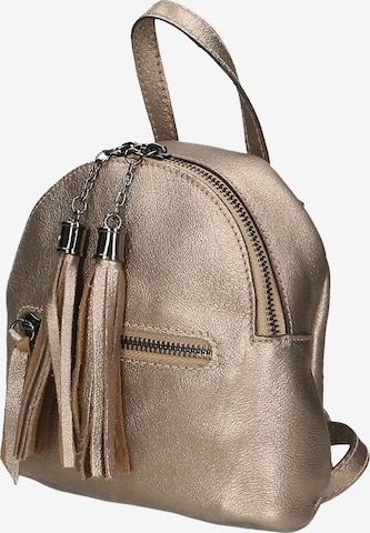 Gave Lux Backpack in Bronze: front