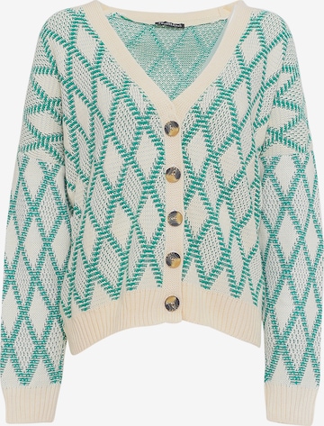 FRESHLIONS Oversized Cardigan ' Pati ' in Green: front