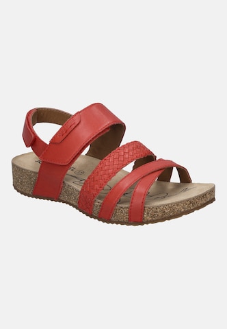 JOSEF SEIBEL Sandal 'Tonga 83' in Red