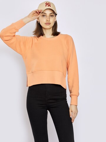 FRESHLIONS Sweatshirt in Orange: predná strana