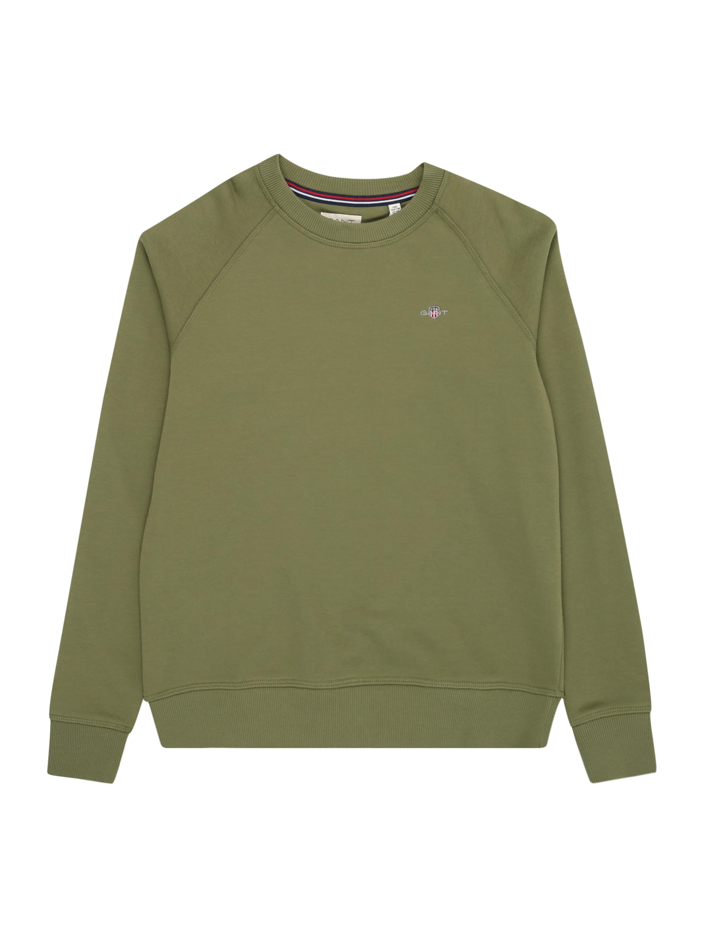 GANT Μπλούζα φούτερ σε πράσινο: μπροστά