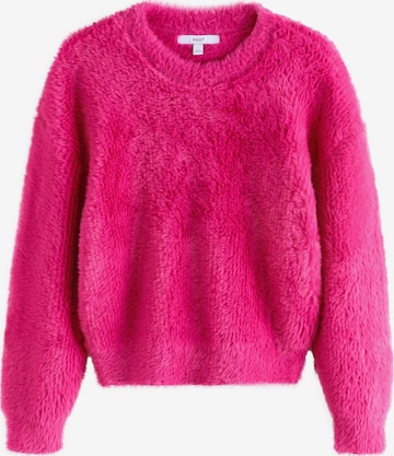 Next Pullover in Pink: Vorderseite