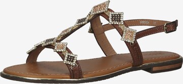 GEOX Sandalen met riem in Bruin: voorkant