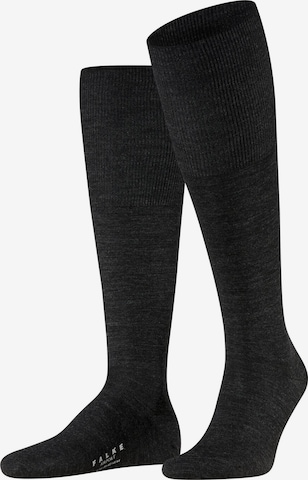 FALKE Knee High Socks 'Airport' in Grey: front