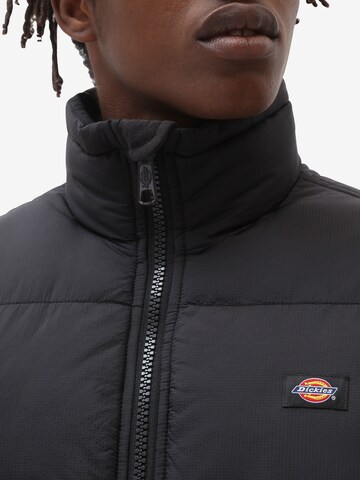 DICKIES Winter Jacket 'WALDENBURG' in Black