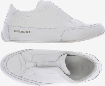 Candice Cooper Flats & Loafers in 37 in White: front
