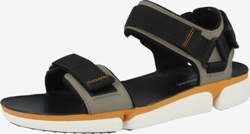 CLARKS Hiking Sandals in Grey: front
