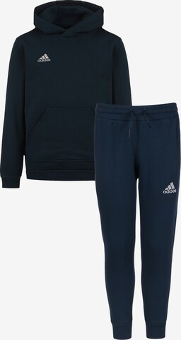 ADIDAS PERFORMANCE Trainingspak in Blauw: voorkant