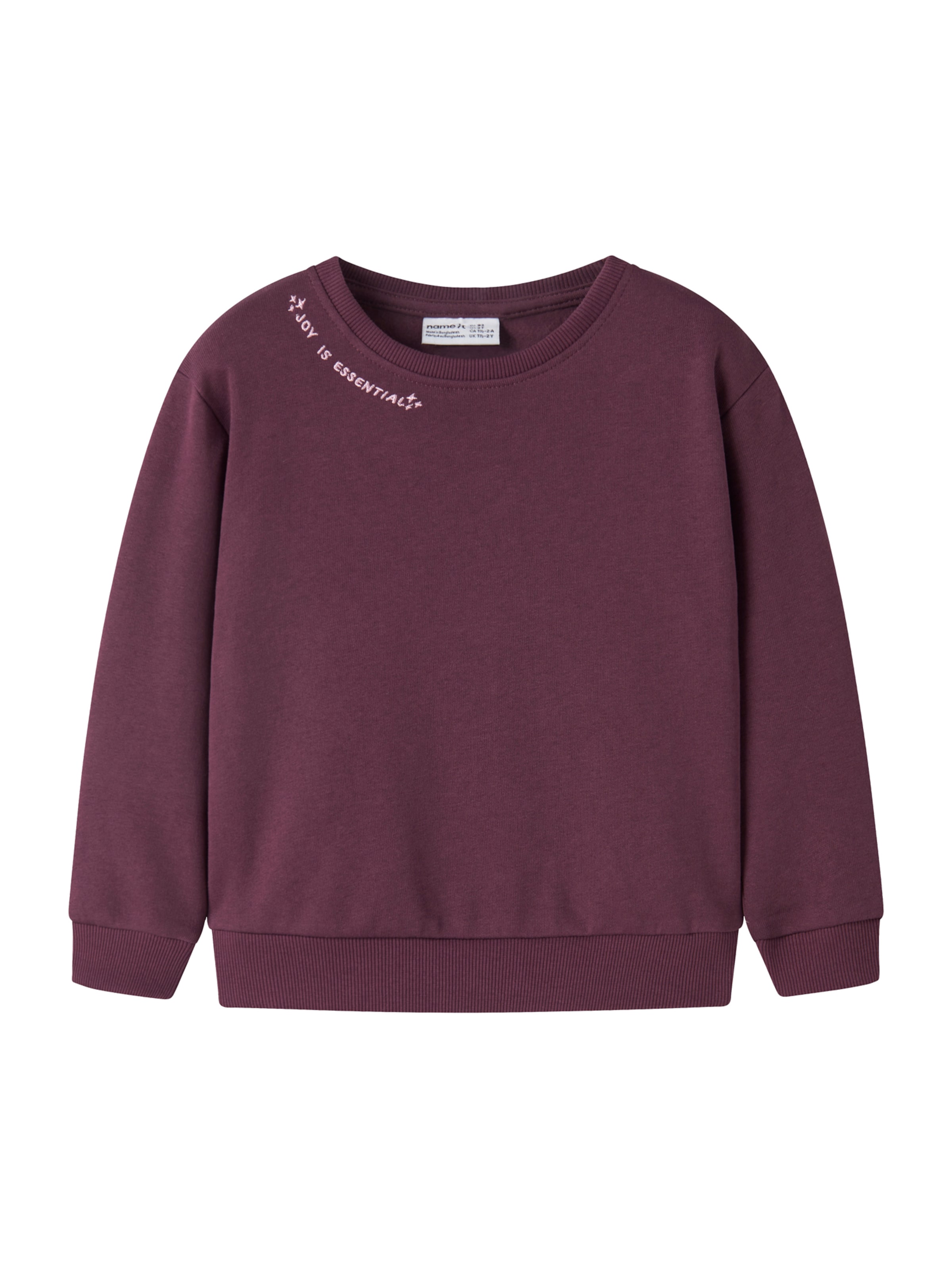 NAME IT Sweatshirt 'NMFOKALA' in Lila: Vorderseite