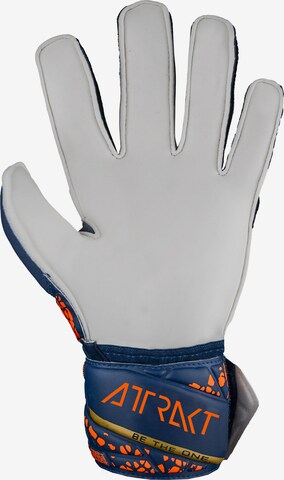 REUSCH Athletic Gloves 'Attrakt Solid' in Blue