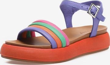 INUOVO Strap Sandals in Purple: front