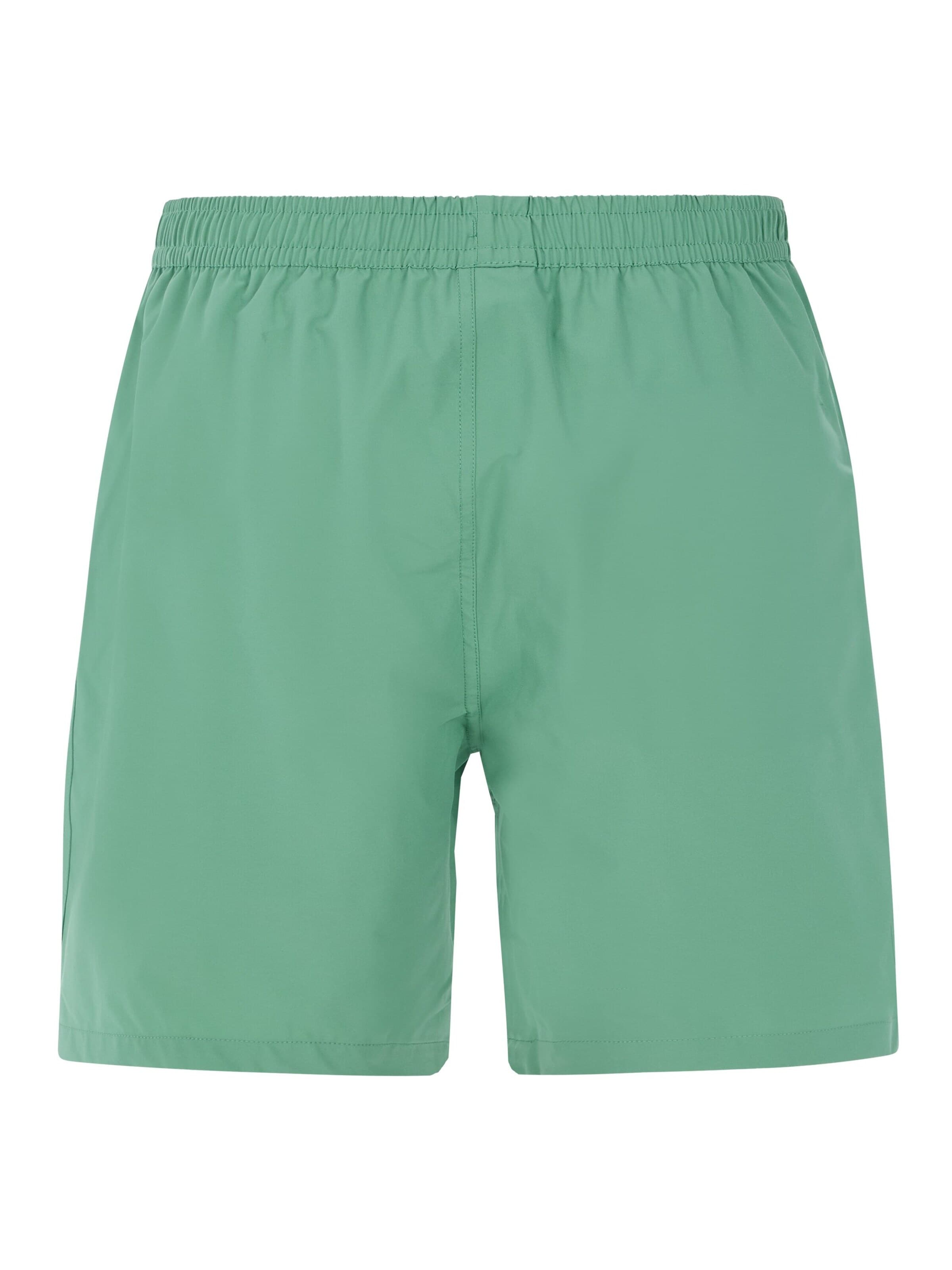 PROTEST Badeshorts 'PRTBaky'‌‌‌‌ in L/Regular in grünmeliert, Produktansicht