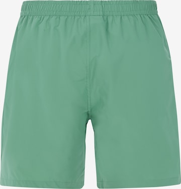 PROTEST Badeshorts 'PRTBaky' in Grün: Vorderseite