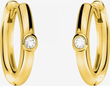 Sofia Milani Ohrringe in Gold: Vorderseite
