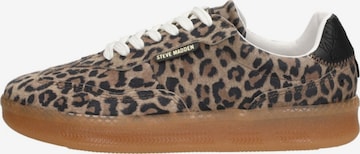 Baskets basses 'Euphoria' STEVE MADDEN en marron : devant