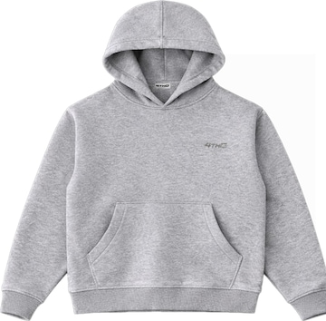 4thD Collegepaita 'Hoodie - Grey Melange' värissä harmaa: etupuoli