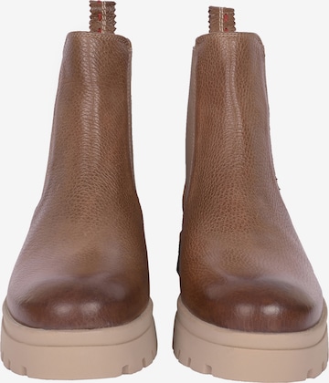 Chelsea Boots Crickit en marron