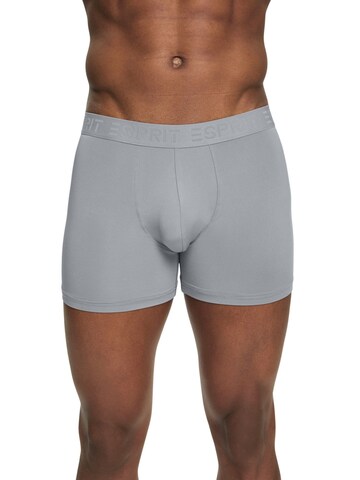 ESPRIT Boxershorts in Grijs: voorkant