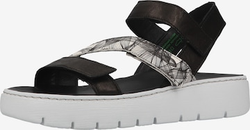 THINK! Strap Sandals in Black: front