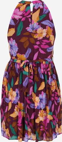 Vila Petite Summer dress 'JULIETTE' in Purple