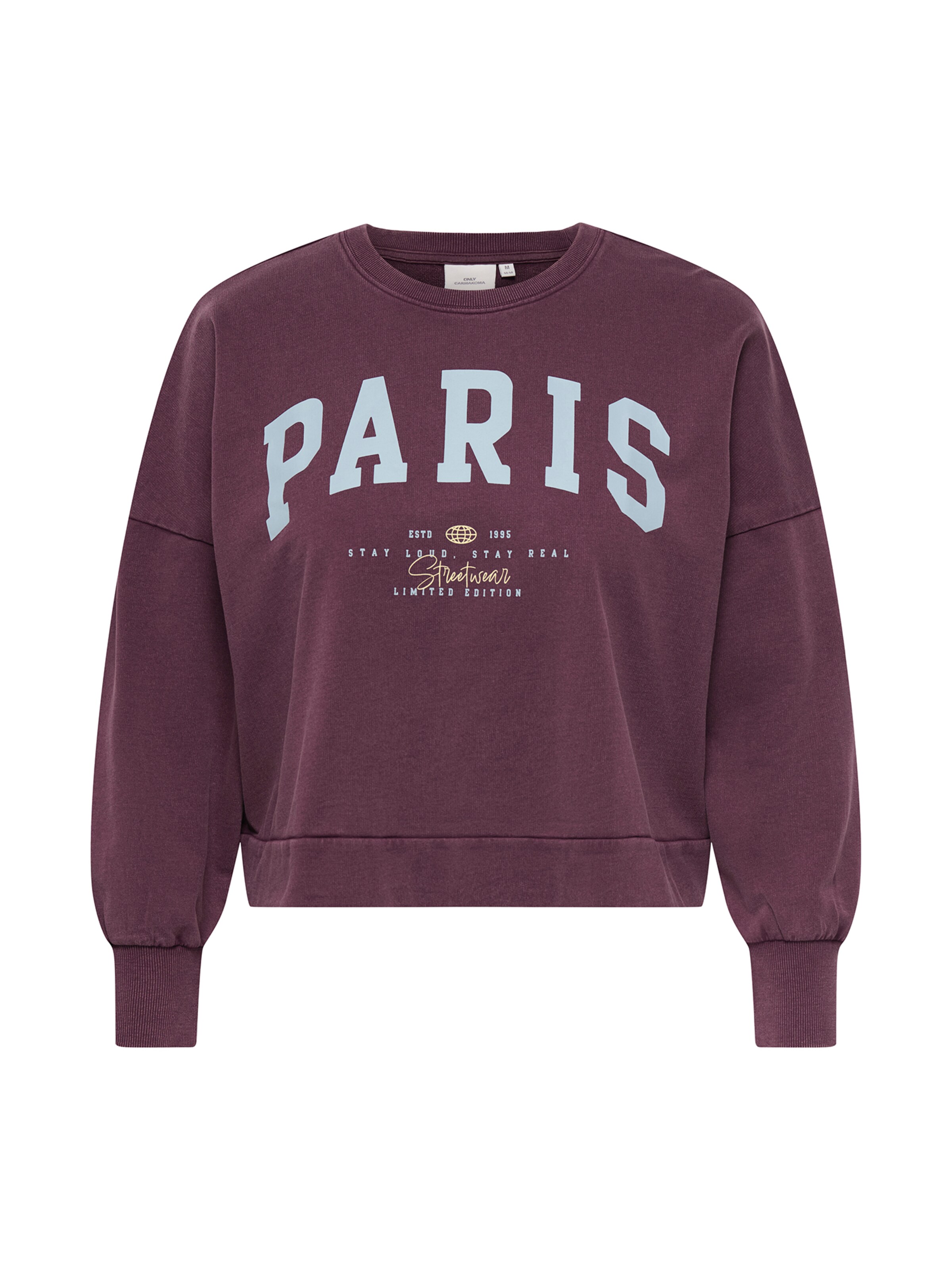 ONLY Carmakoma - Sudadera 'CAREMELIE' en lila: frente