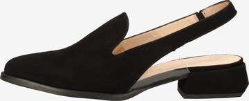 Wonders Ballet Flats in Black