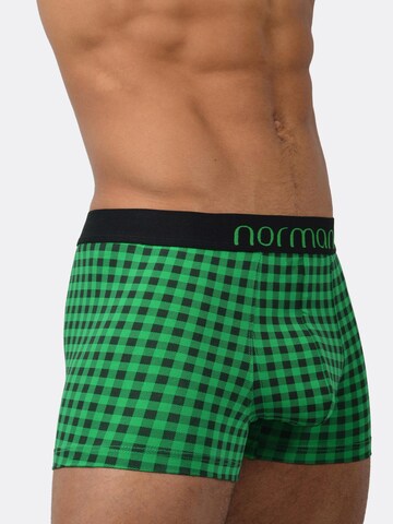 normani Boxershorts in Grün