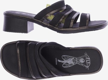FLY LONDON Sandals & High-Heeled Sandals in 38 in Black: front
