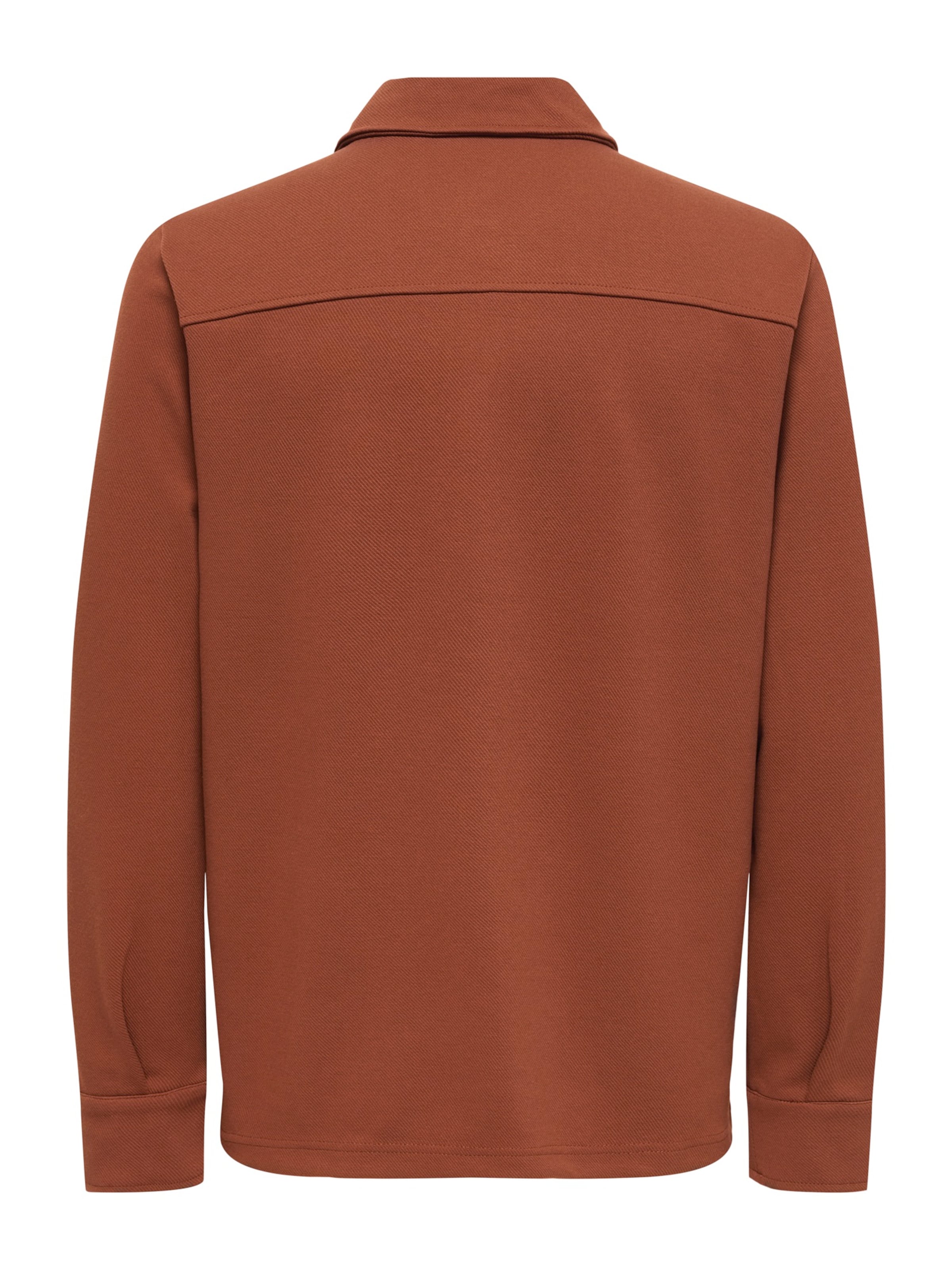 Only & Sons Regular fit Overhemd 'ONSNew Kodyl' in Bruin