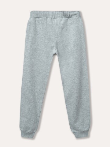WINKIKI Regular Pants in Grey