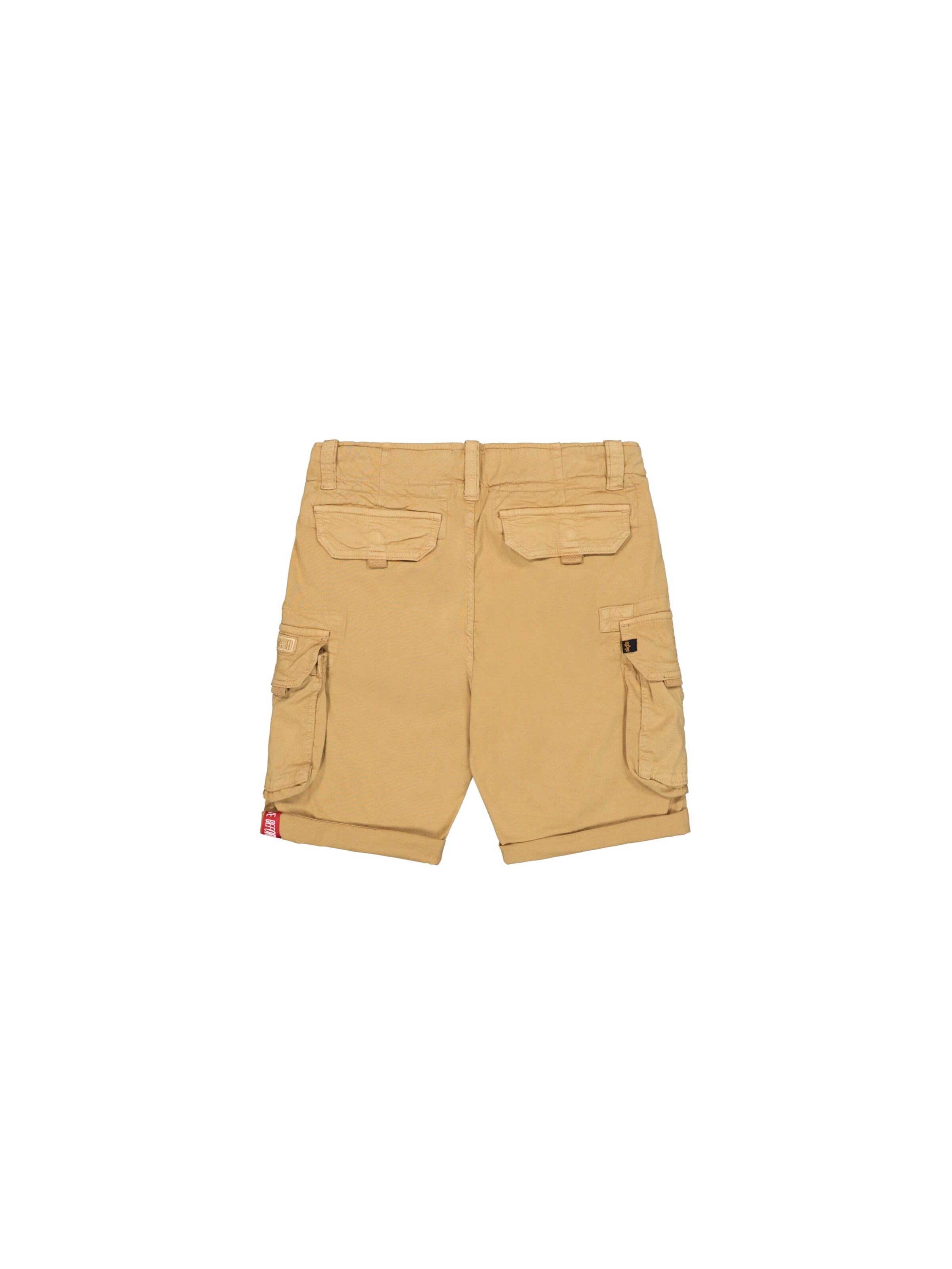 ALPHA INDUSTRIES Regular Shorts in Beige