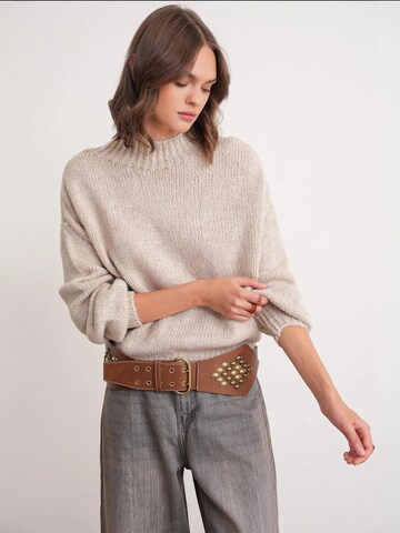 Pullover di MixRay in beige